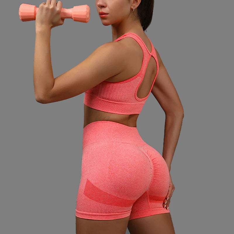 Quick-Dry Seamless Yoga Set
