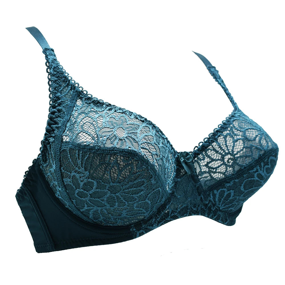 Floral Mesh Lace Bra - Embroidered Plunge Design