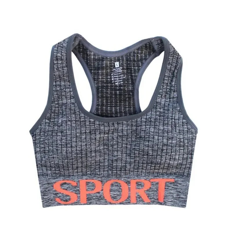 Seamless Padded Everyday Bra